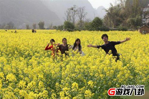 校草是如何成长起来的 校草历险记  