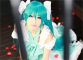 美胸御姐版初音COS让贫乳萝莉都见鬼去吧